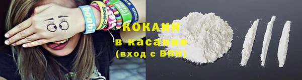 прущие грибы Лагань