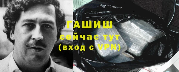 прущие грибы Лагань