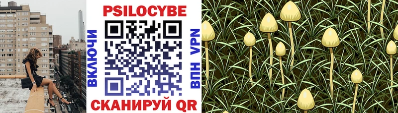 Галлюциногенные грибы Cubensis  Купить  Нижневартовск 